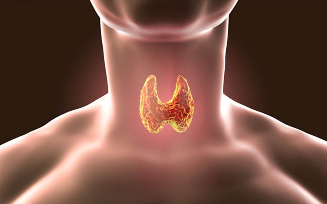 Normal Thyroid Labs? Why You Still Feel Tired & Foggy