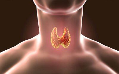 Normal Thyroid Labs? Why You Still Feel Tired & Foggy